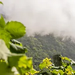 Scenic With Panoramic Sea & Mountain Views In Appartement *