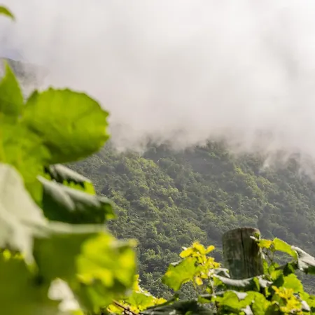 Scenic With Panoramic Sea & Mountain Views In Διαμέρισμα *