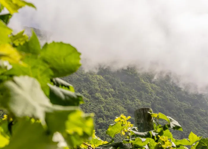 Scenic With Panoramic Sea & Mountain Views In 公寓 *